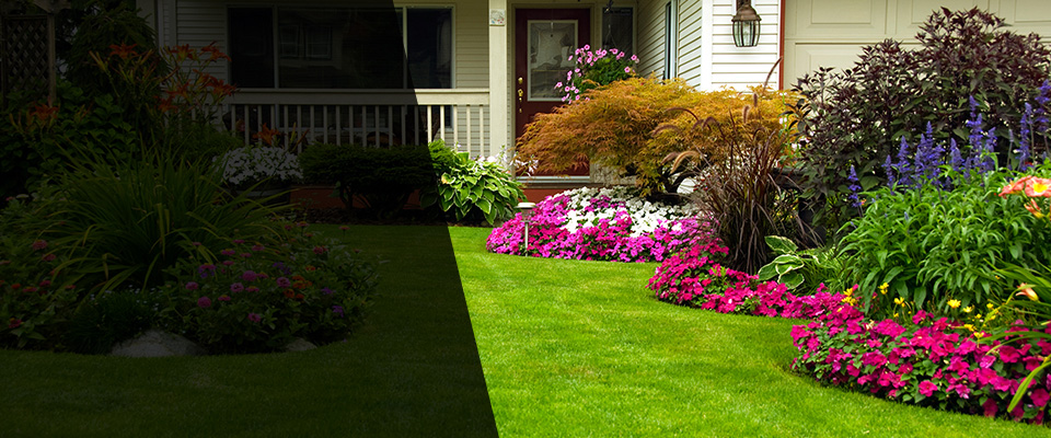 Spring Hill Landscapers